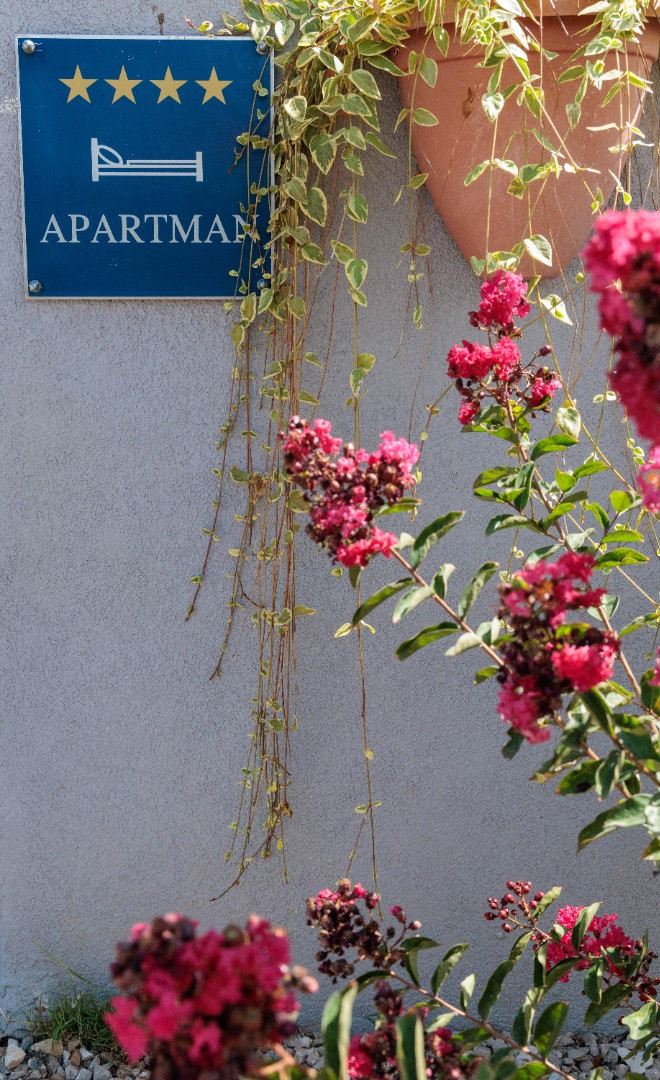 Apartment Alba Kanfanar